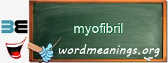 WordMeaning blackboard for myofibril